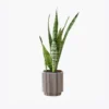 Antique Metal Planter - Silver