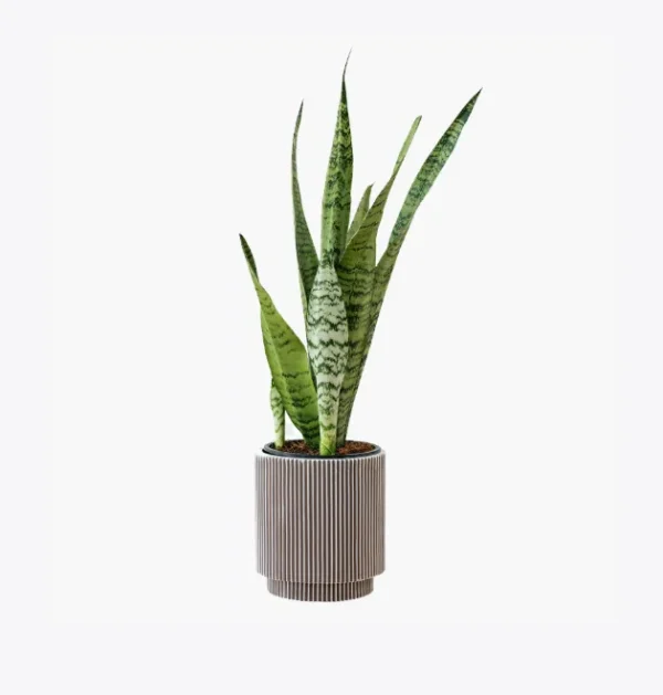 product-image-6_optimized Antique Metal Planter - Silver