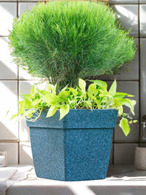 Barca Square Rotomold Planter