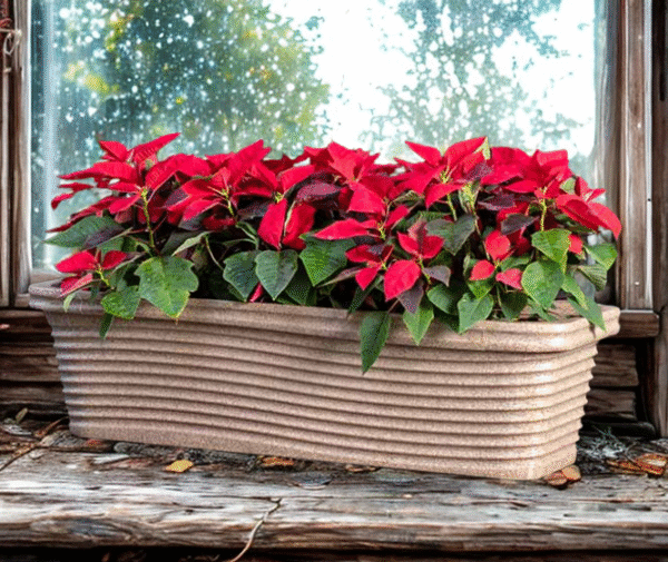 Florence Rotomold Planter Florence Rotomold Planter by Bodhi