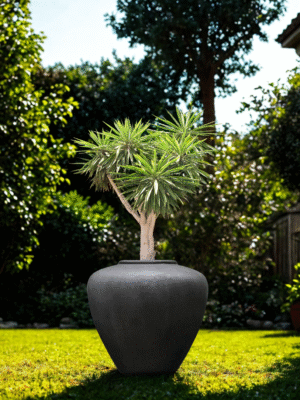 Gloria FRP Planter by Bodhi