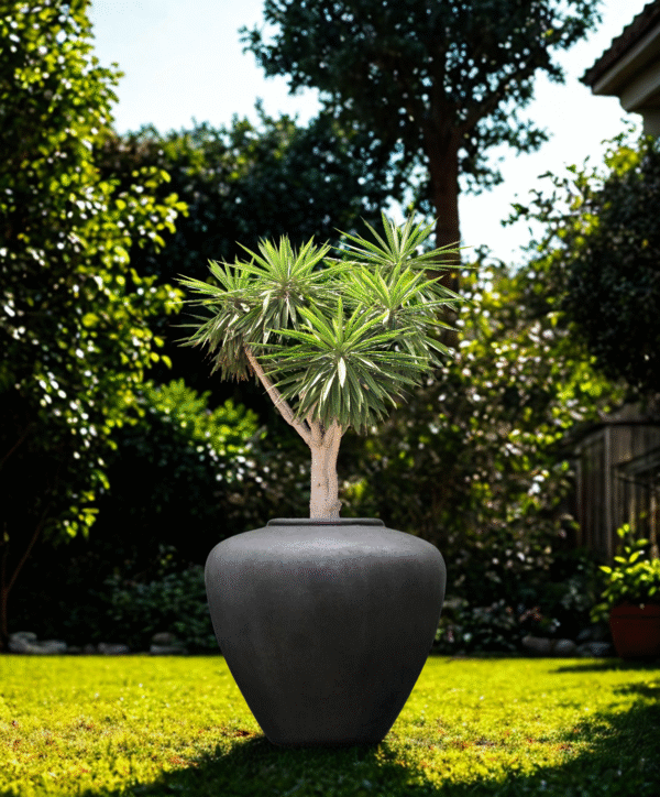 Gloria FRP Planter Gloria FRP Planter by Bodhi