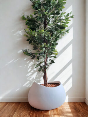 Grano FRP Planter – Smooth Finish