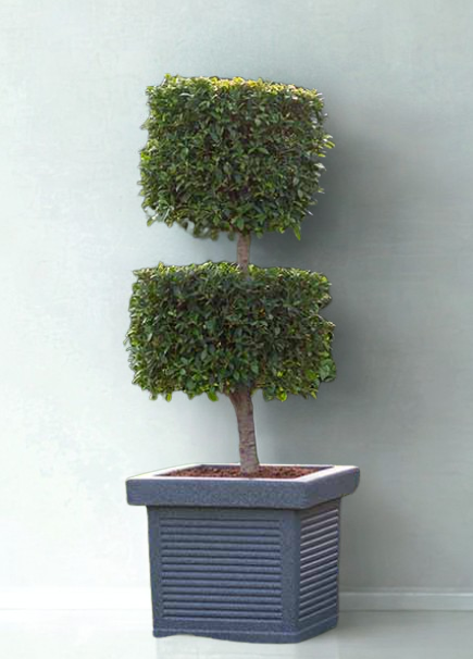 Square Rotomold Planter Square Rotomold Planter