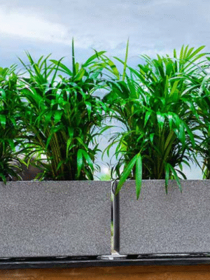 Urban Horizontal Planter by Bodhi