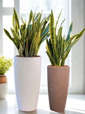 Venice Rotomold Planter