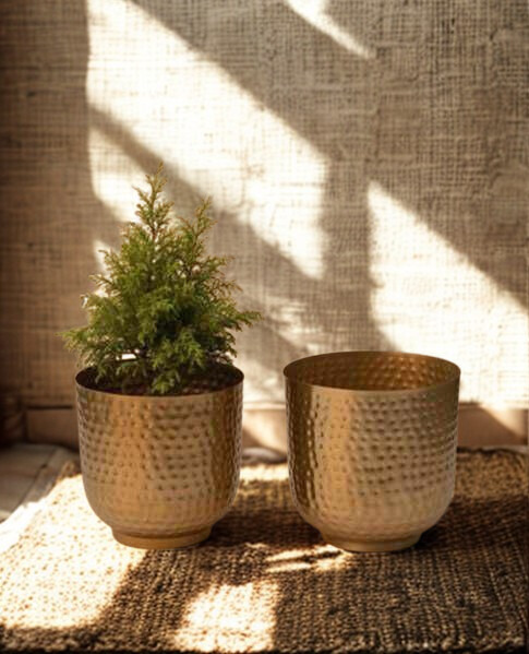 Gilded Hammered Duo Metal Planters Gilded Hammered Duo Metal Planters