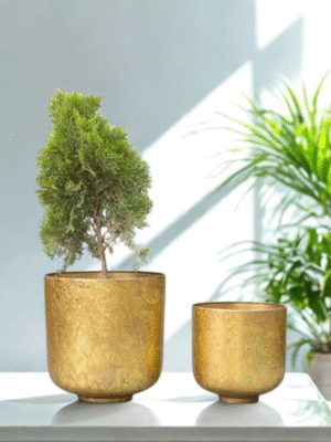 Golden Orbit Metal Planter Set