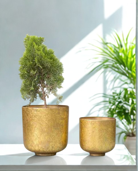 Golden Orbit Metal Planter Set Golden Orbit Metal Planter Set
