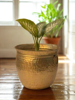 Hammered Brass-Coated Planter