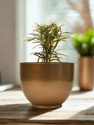 Orbit Brass Bowl Planter