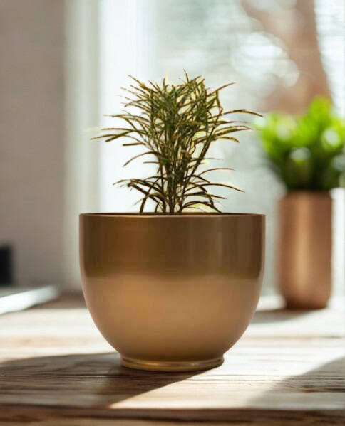 Orbit Brass Bowl Planter Orbit Brass Bowl Planter