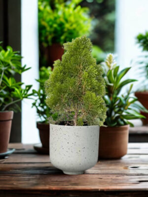 Speckle Stone Shade Metal Planter