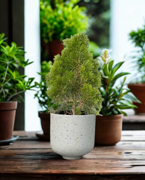 Speckle Stone Shade Metal Planter Speckle Stone Shade Metal Planter