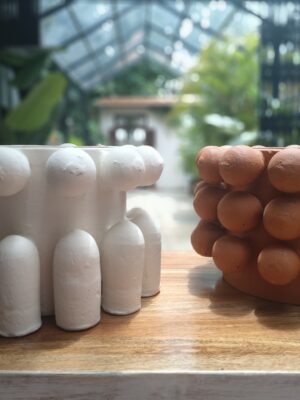 Buy Textured Terracotta Planters – White & Natural Clay Finish